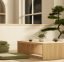 Minimalist japanese style living room or teahouse with low wooden table and cushions aside bonsai tree. Interior Mockup, 3D Rendering, 3D Illustration. zen home